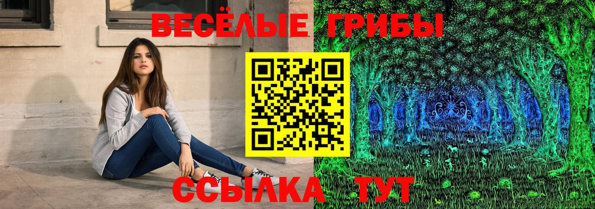 Псилоцибиновые грибы Cubensis Краснокаменск