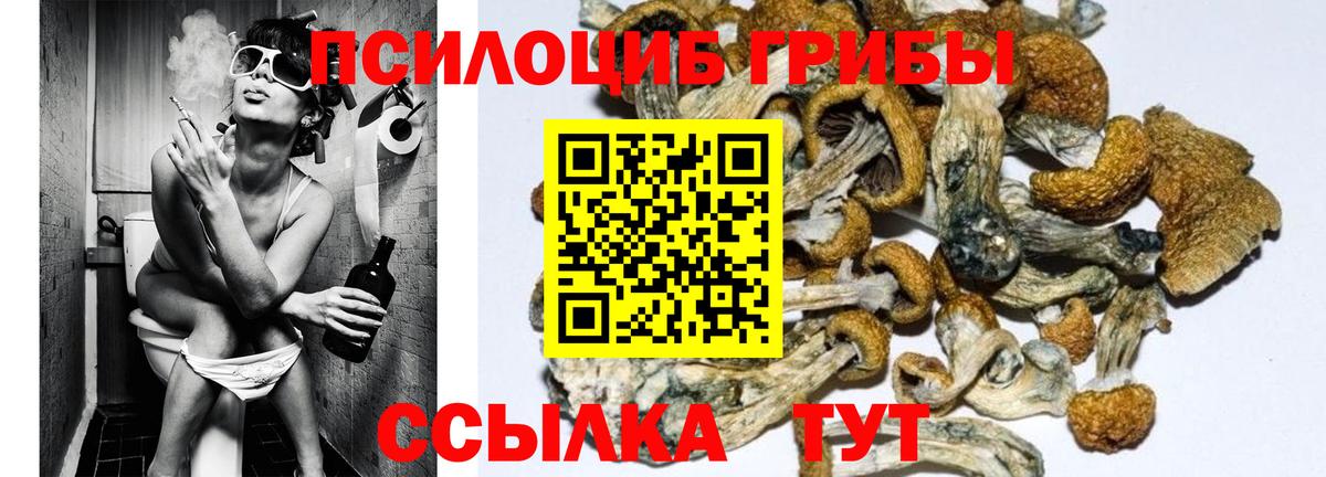 Галлюциногенные грибы Psilocybe  Галлюциногенные грибы MAGIC MUSHROOMS  Краснокаменск  Вход с VPN 